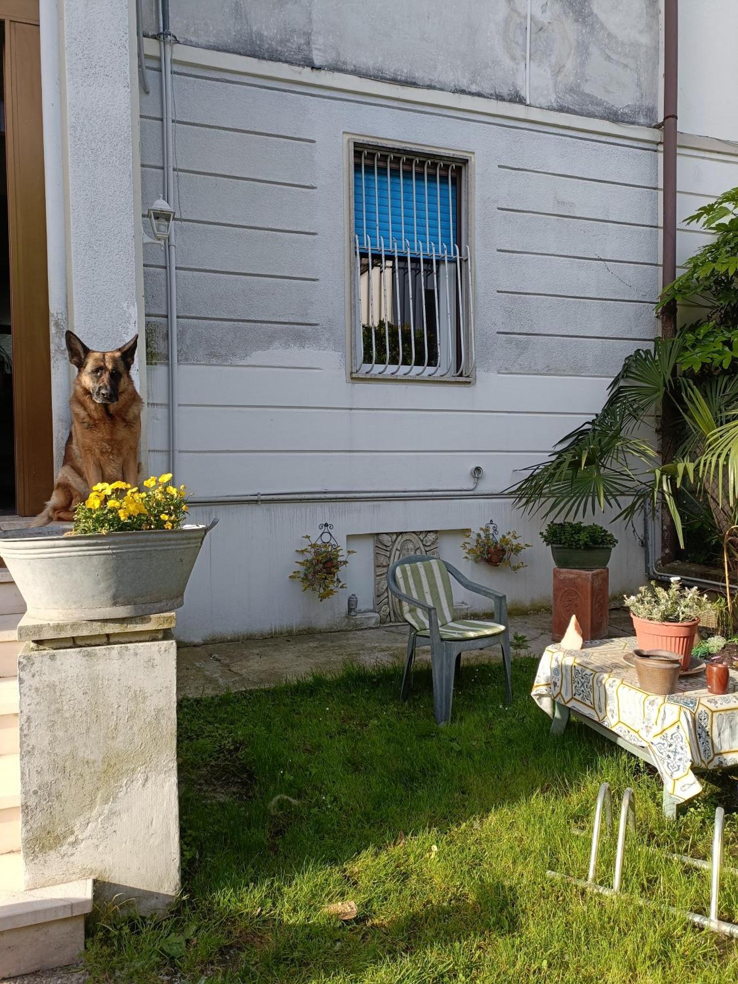 Chez Mavipagi B&B 维罗纳 外观 照片